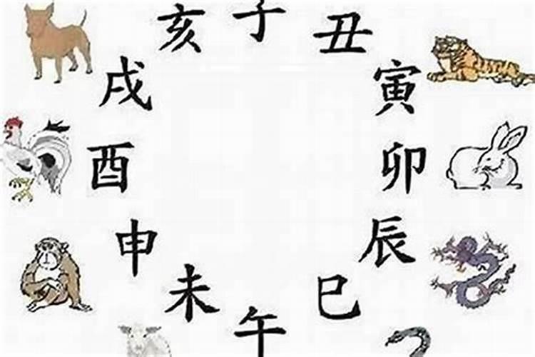 相处越久爱得越深的八字组合,你知道有哪些特点吗？