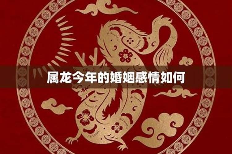 一生婚姻不幸的生肖女,一辈子没人心疼的生肖女