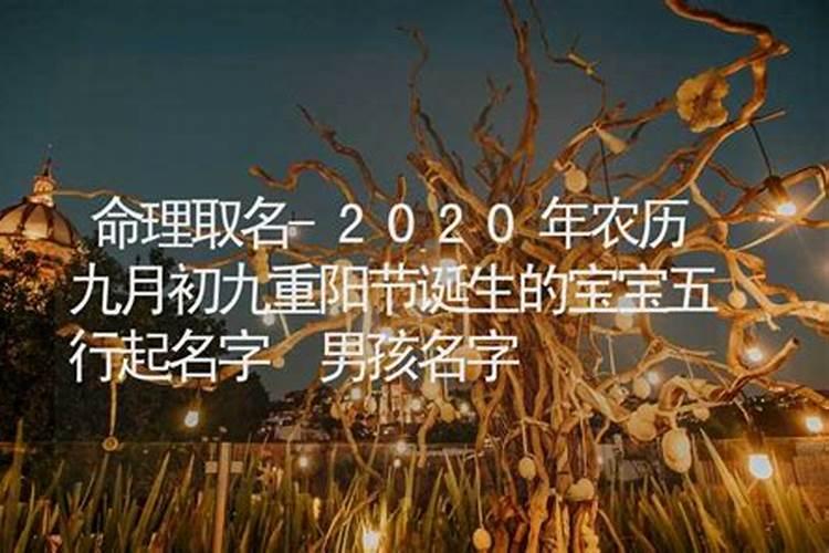 农历九月初九是什么节日？