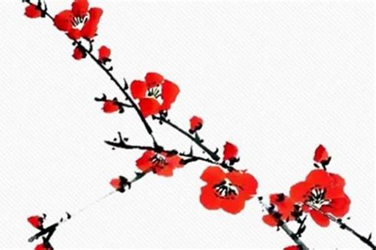 天蝎座2025年运势