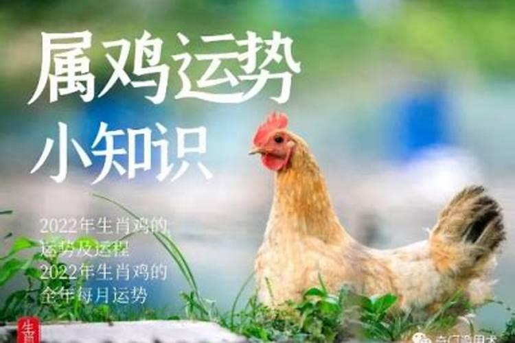 1993年属鸡男士(32岁)2025年运势分析,逐月抓住每个机会