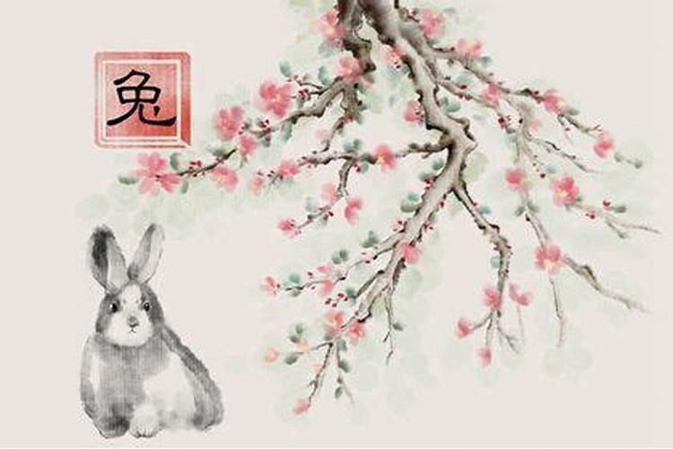 属兔人运势走低、财运不顺的时分,该如何自救？