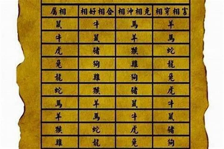 属马的和什么属相最是最佳婚配