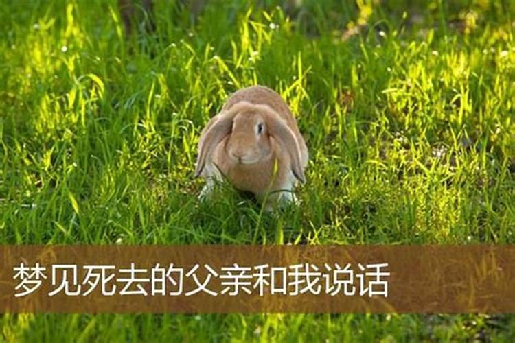 梦见死去的父亲帮自己干活的预兆