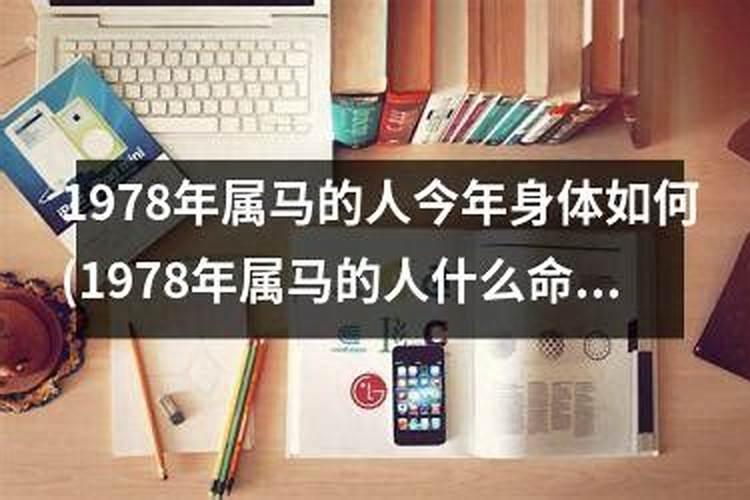 82年属狗人未来五年的运势及运程