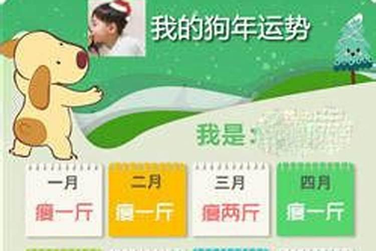 办公室放什么绿植最旺事业运
