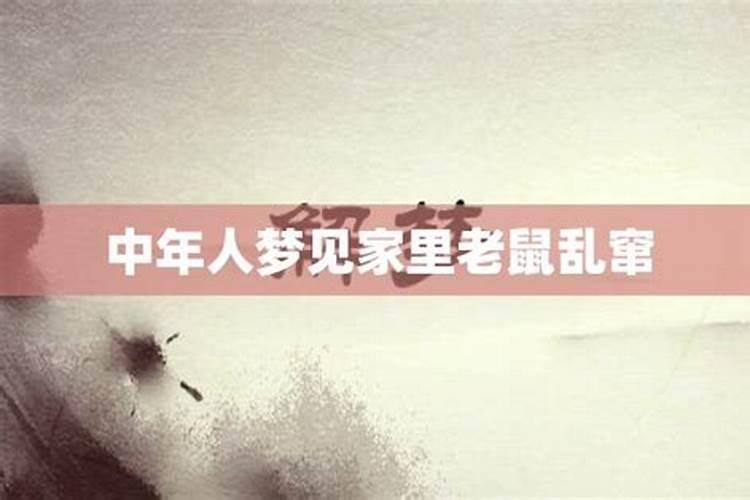 梦到老鼠爬到身上乱窜预示着什么意思