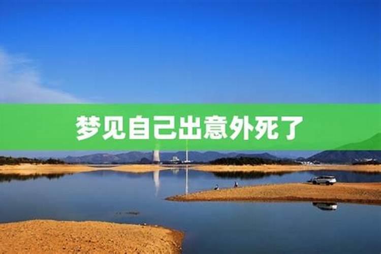生肖鼠2025年运势 属鼠2025年运势及运程