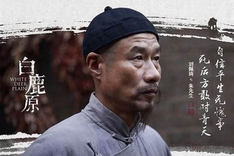 《白鹿原》(六)朱先生无法回避的课题——田小娥