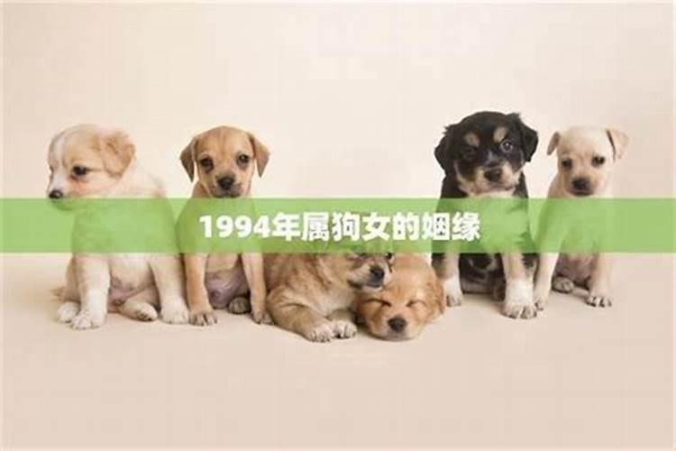 属猪和什么属相配比较好,与猪白头偕老的生肖有哪些？