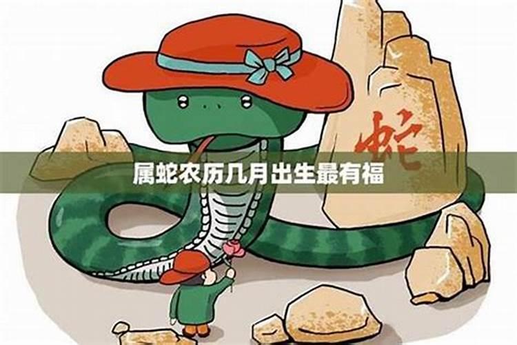 2024年属蛇的总体运程每月运程详解