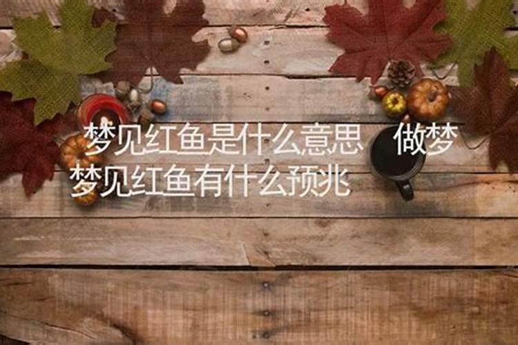 梦见红鱼是什么征兆？