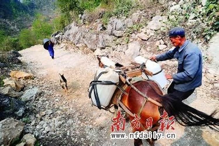 梦见父亲想杀我却错杀啦叔叔的预兆