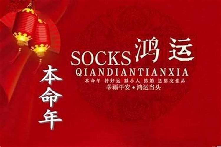 属马的小人是什么属相
