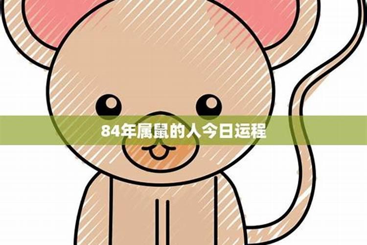 84属鼠人的灾难年龄1984年鼠的大运时间