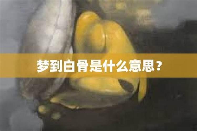 属羊的时辰出生大富大贵