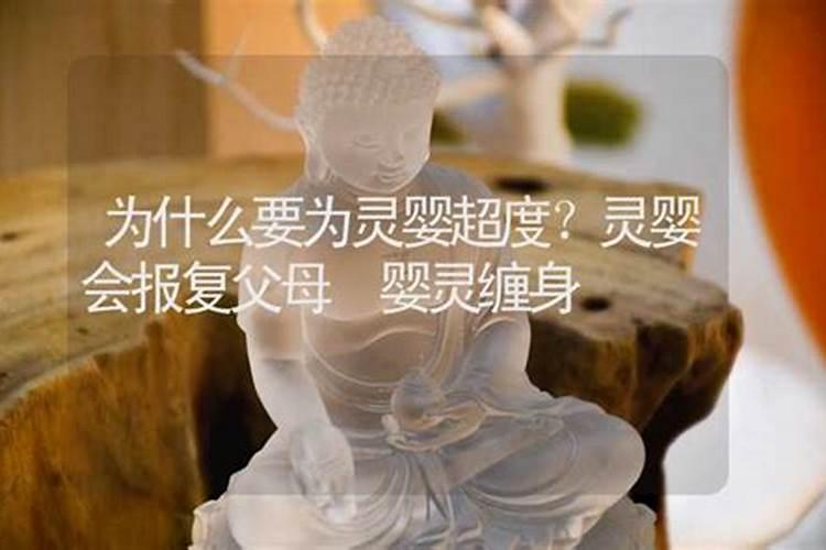 怎么看五行喜什么