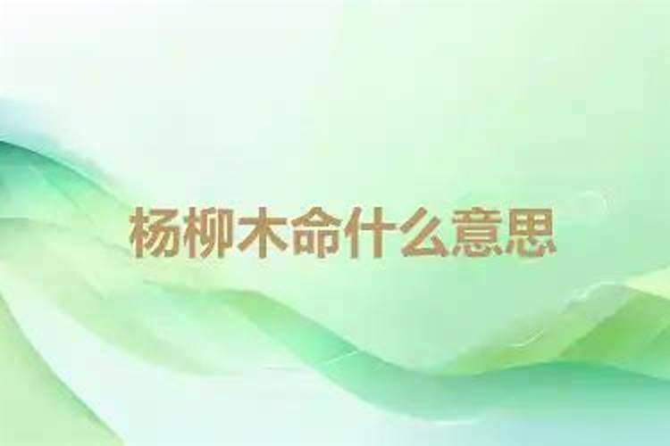 杨柳木命是什么意思 杨柳木命意思是什么