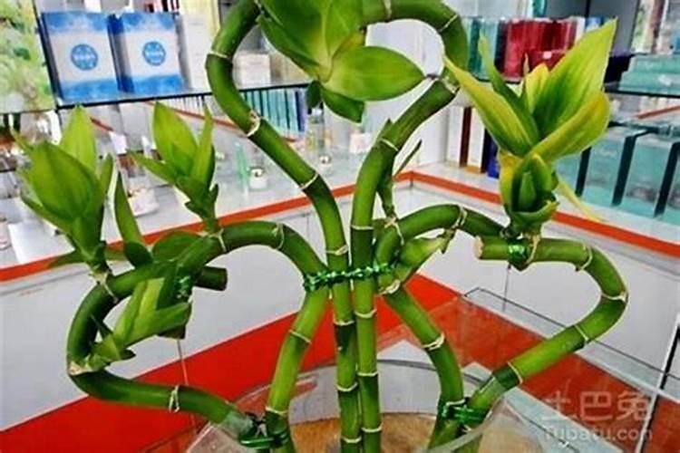 2022年虎年最忌讳哪个月出生,虎年属虎几月命苦今日头条