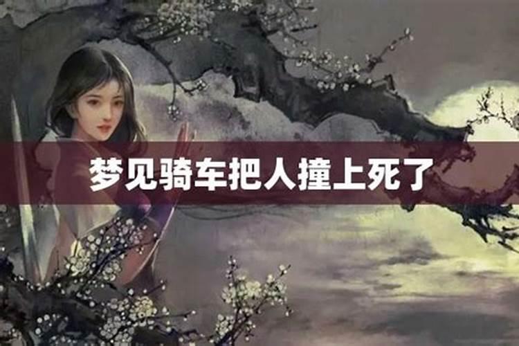 梦见猫咪生小猫死了