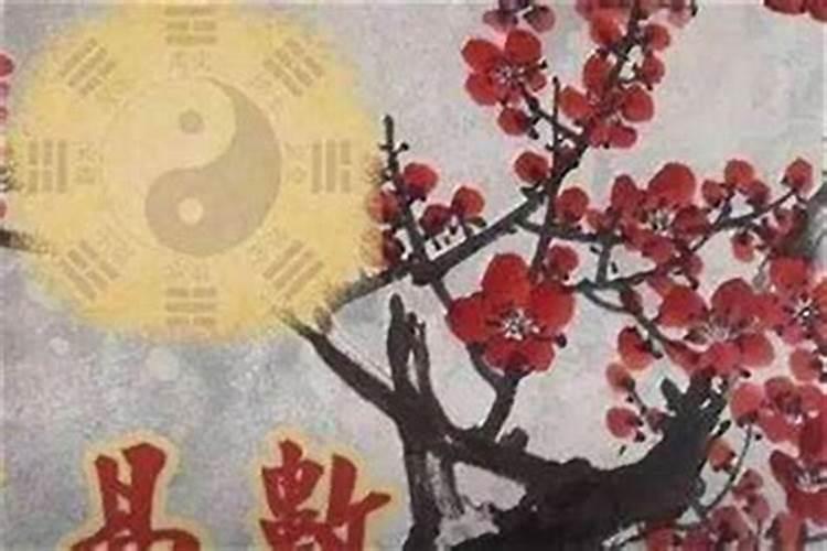 用梅花易数解卦时,主卦是火雷噬嗑,变卦是震为雷,测婚姻能成吗？变卦震...