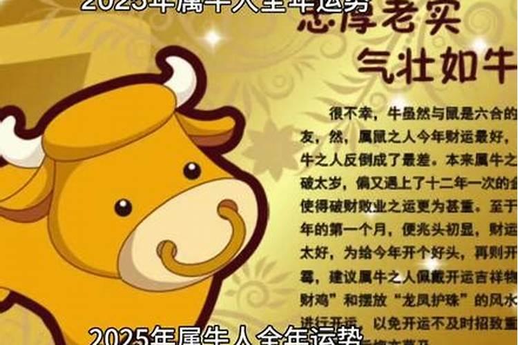 73年属牛51岁2025年的运势