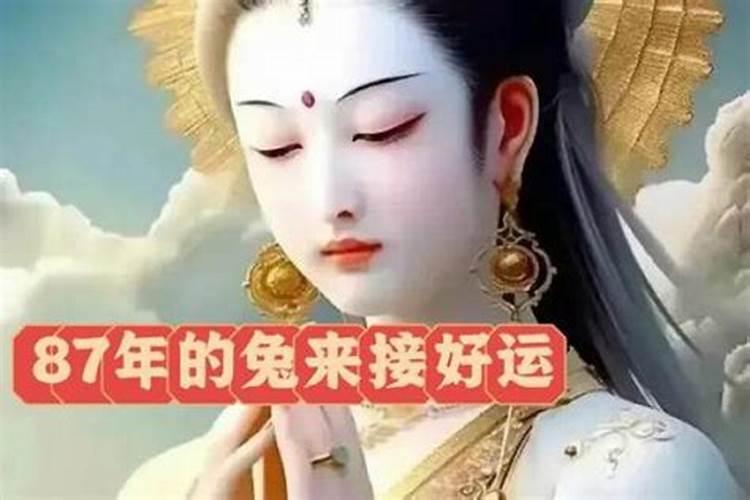 2027年羊年犯太岁的生肖有几个