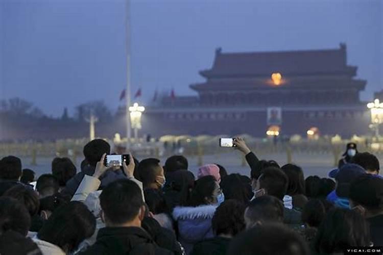 梦见别人抓到老鼠