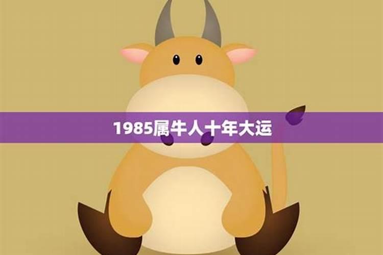 2025年属牛女的全年运势1985出生