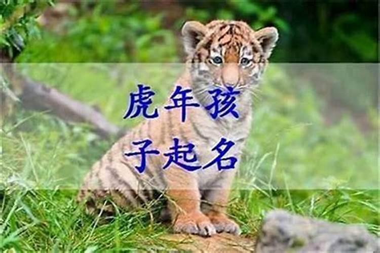 1974年农历正月二十三早晨九点出生男人的命运如何