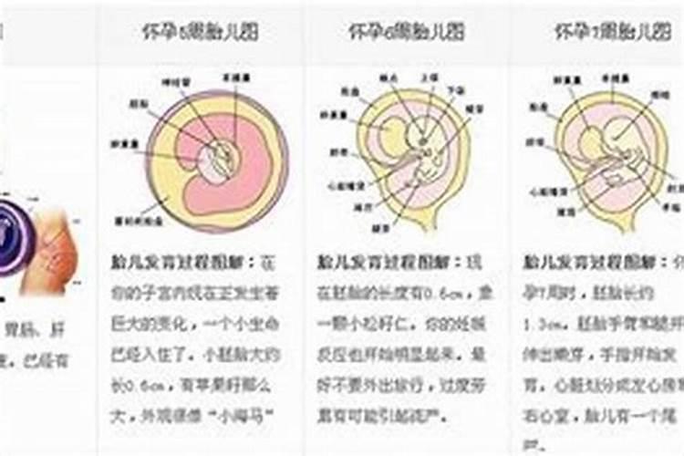 2025年腊月哪天上坟合适