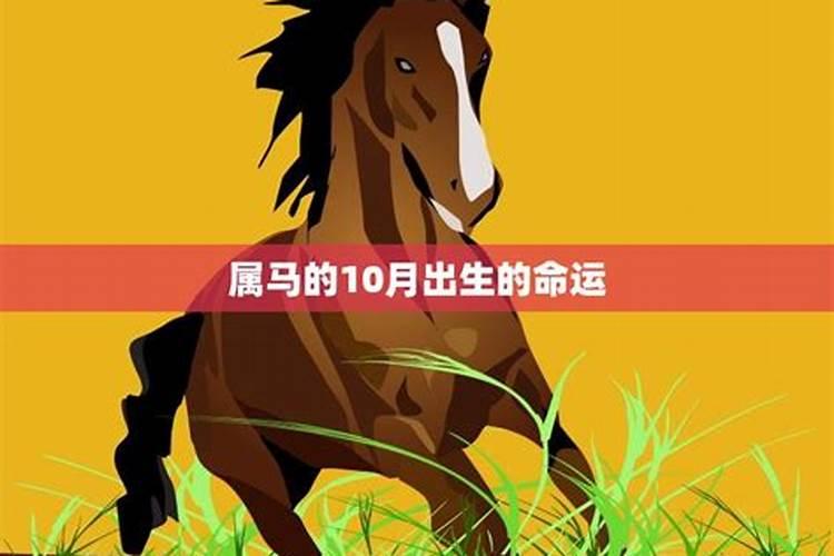 驻马店的春节习俗