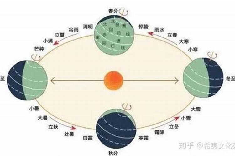 破五指的是什么蚂蚁庄园