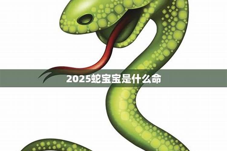 77年属蛇女人2025年每月运势运程