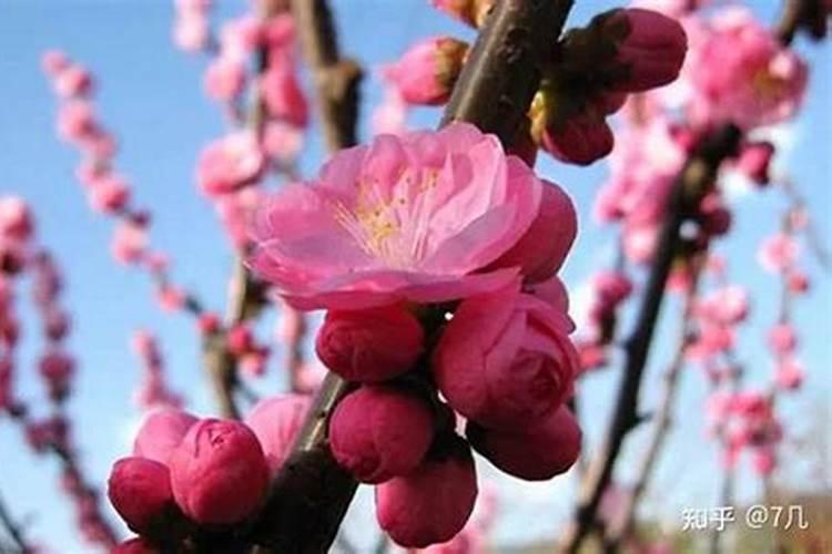 男人催桃花运的9种方法