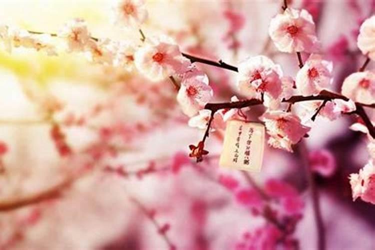 招桃花运的方法大全
