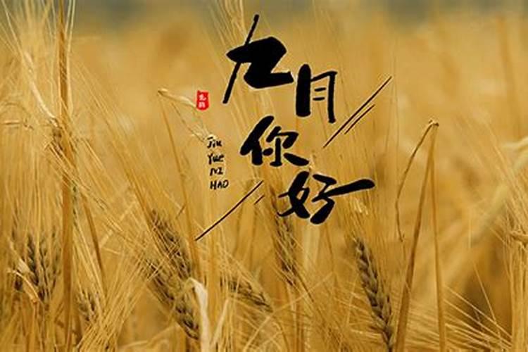 1979年农历九月初九午时出生的男孩五行里是什么命