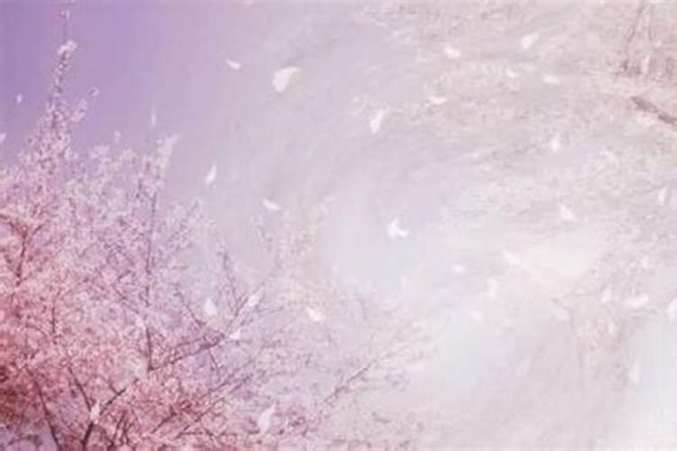 1971年属猪人一生的运势如何