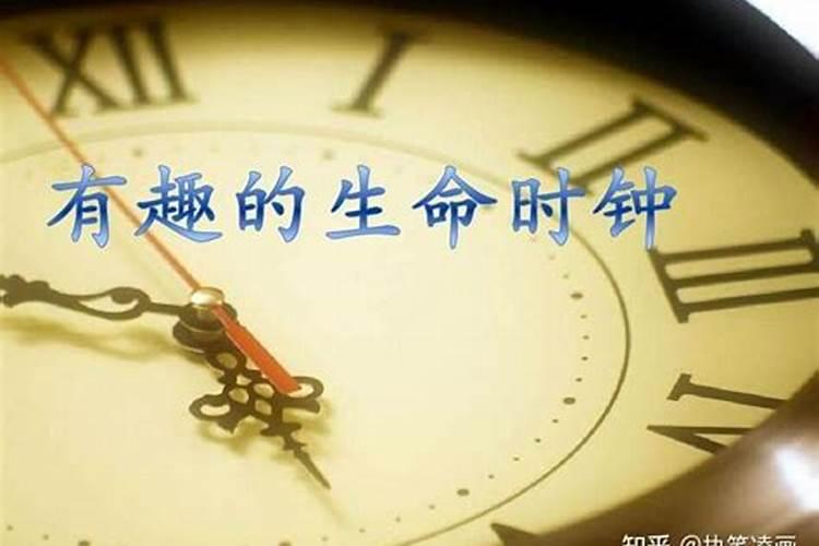 1991年属羊的女人最佳婚配是什么