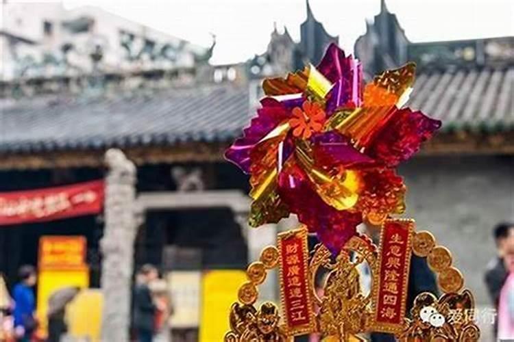 太岁不想养了怎么处理