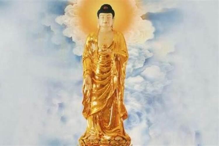 属狗的本命佛是什么佛