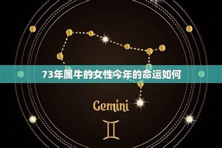 2025年牛人运势运程1973年的牛