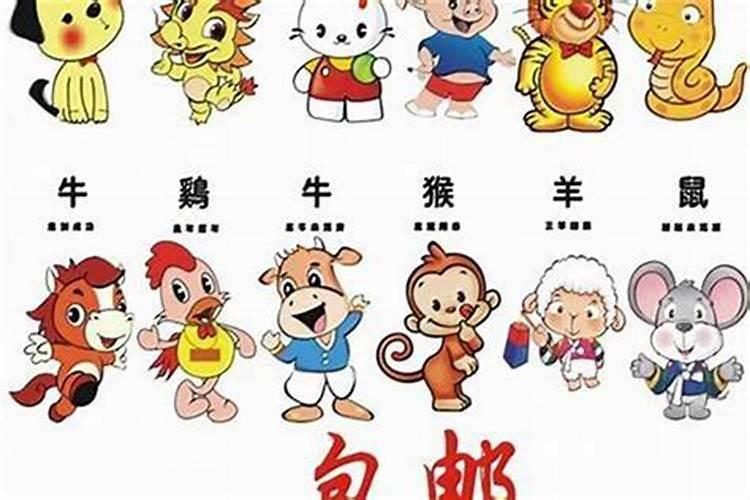属鸡的是什么命金木水火土