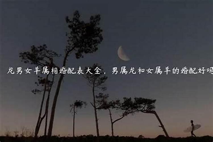 梦见前妻回来找我的预兆