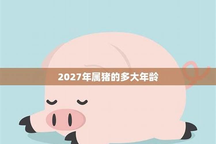 属猪的人2025年每月运势及运程详解