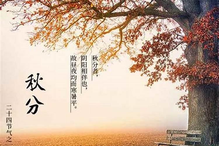 秋分是几月几日