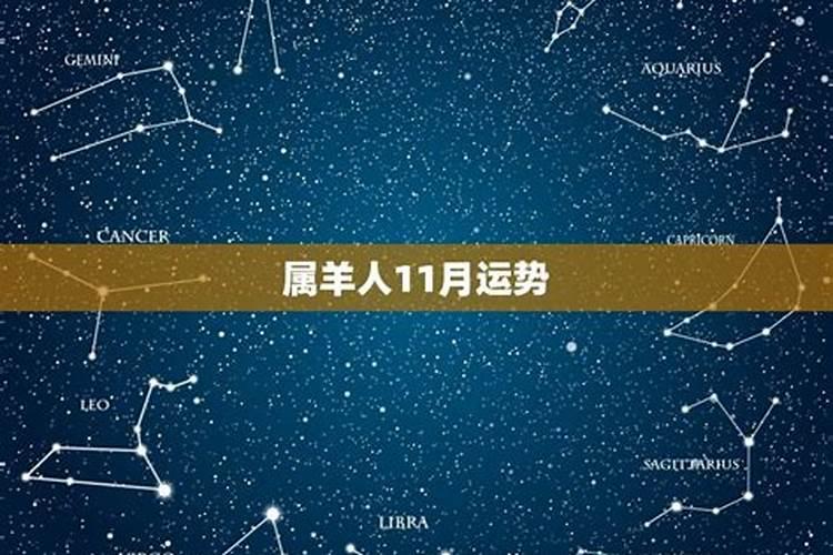 属羊人2025年全年运势 1979年
