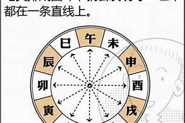 八字中哪些是财星
