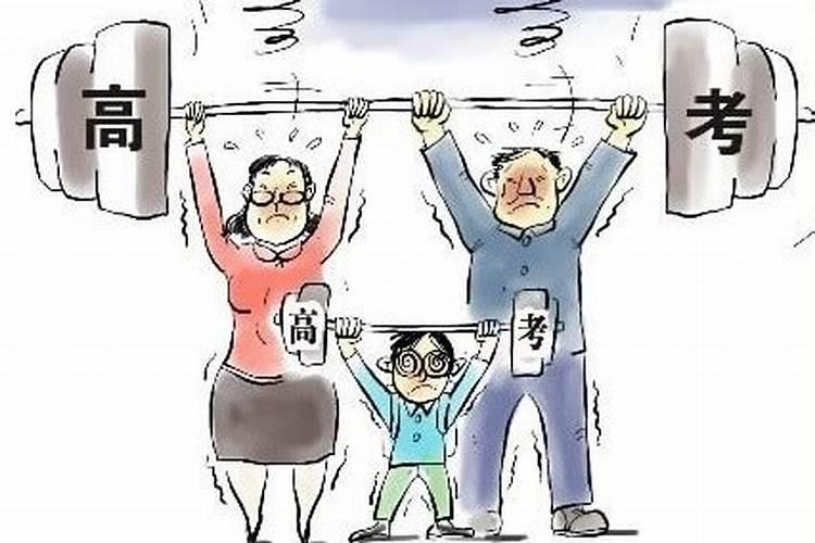 狗与猪合不合