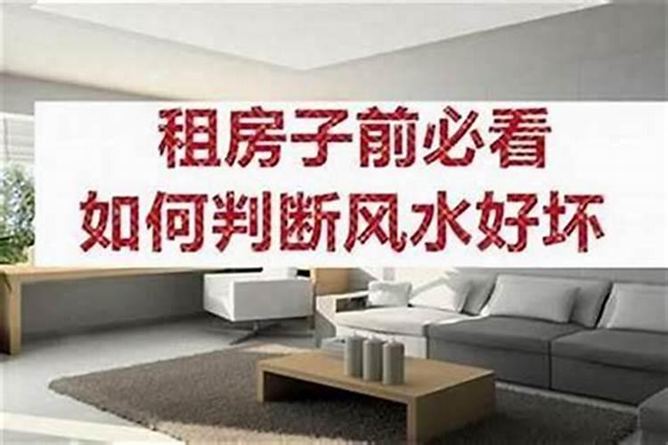 在八字里面,传统 盲派 新派,区别在哪？